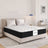 Nos Matelas 7 zones